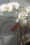 0b3eb25c77aababf837f60c413fda0ed.jpg