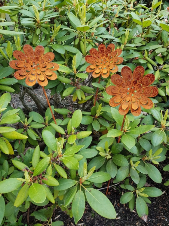 Rdzawe słoneczniki 3D - metalowe kwiaty do ogrodu