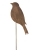 8de900447990d98e74b862b62344399e.jpg