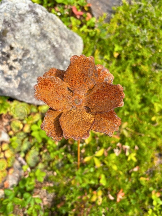 Metalowy kwiat mak dekoracja ogrodowa rdza