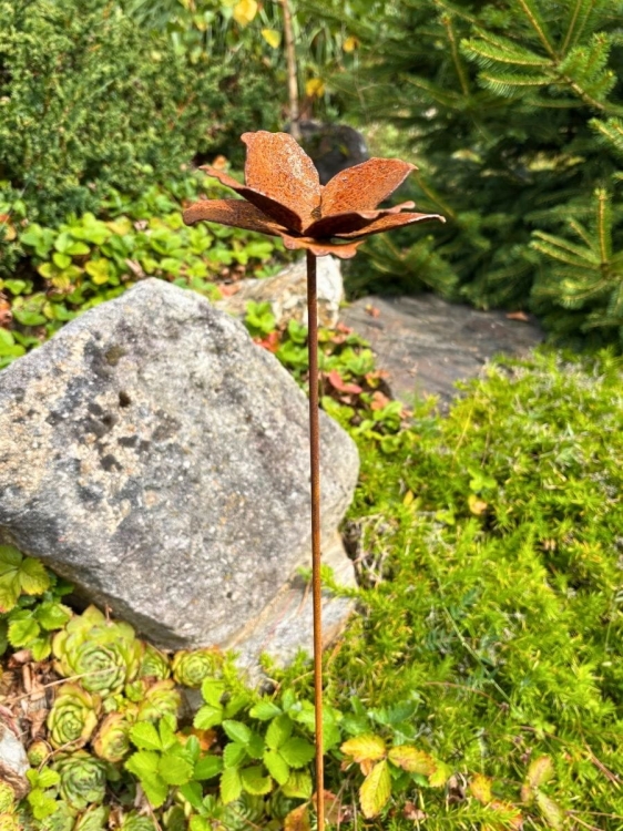 Dekoracja z metalu do ogrodu kwiat 3D mak rdza