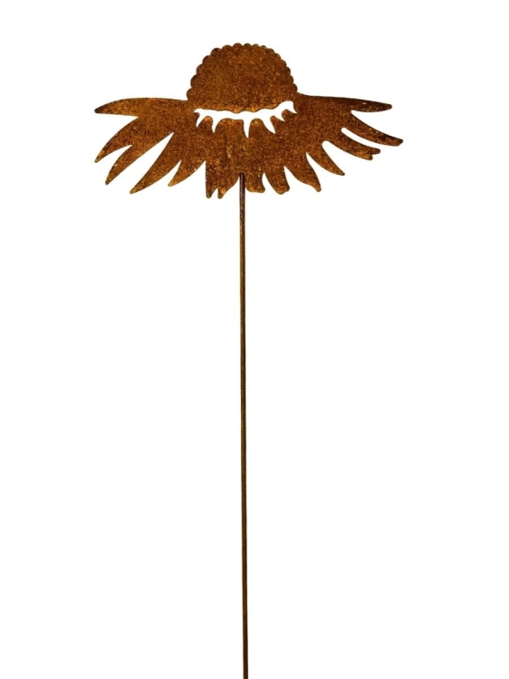 Dekoracja do ogrodu kwiat jeżówka rdzawy