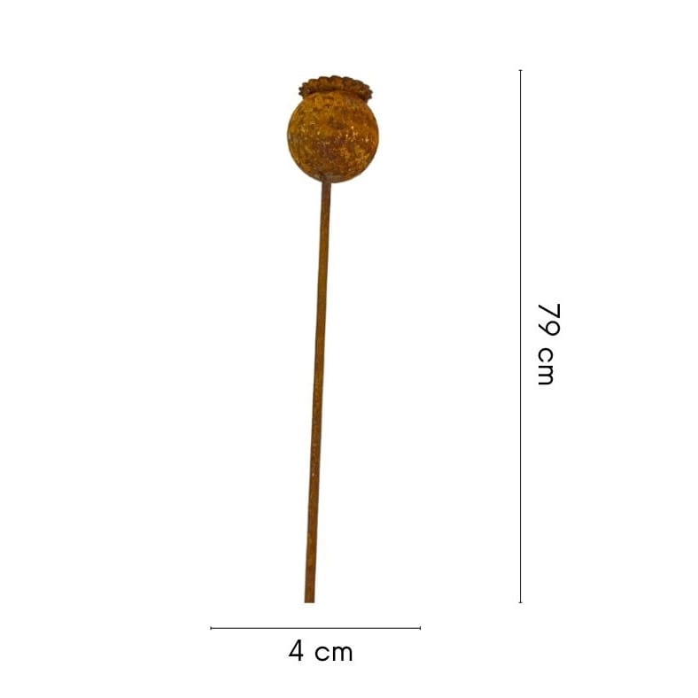 14254.jpg