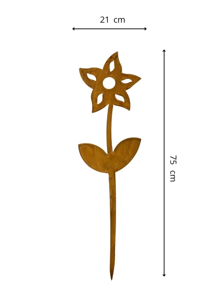 15550.jpg