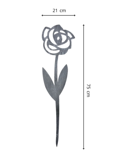13689.jpg