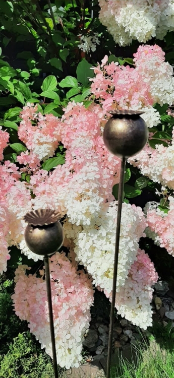 Zestaw maki biżuteria ogrodowa w kolorze złotej rdzy podpórki do roślin.jpg