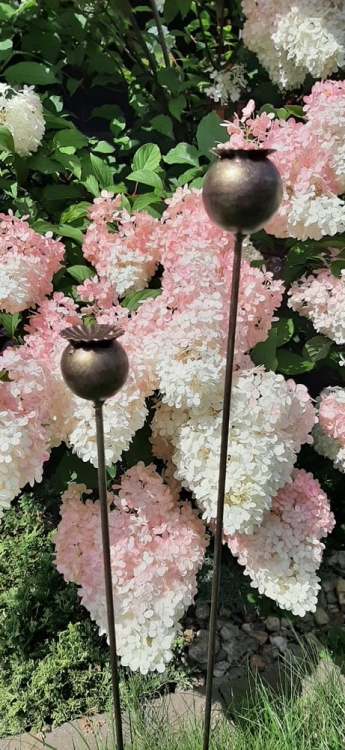 Zestaw maki biżuteria ogrodowa w kolorze złotej rdzy podpórki do roślin.jpg