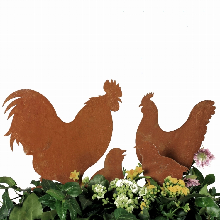 kogut gallus Kury zestaw rdza.JPG