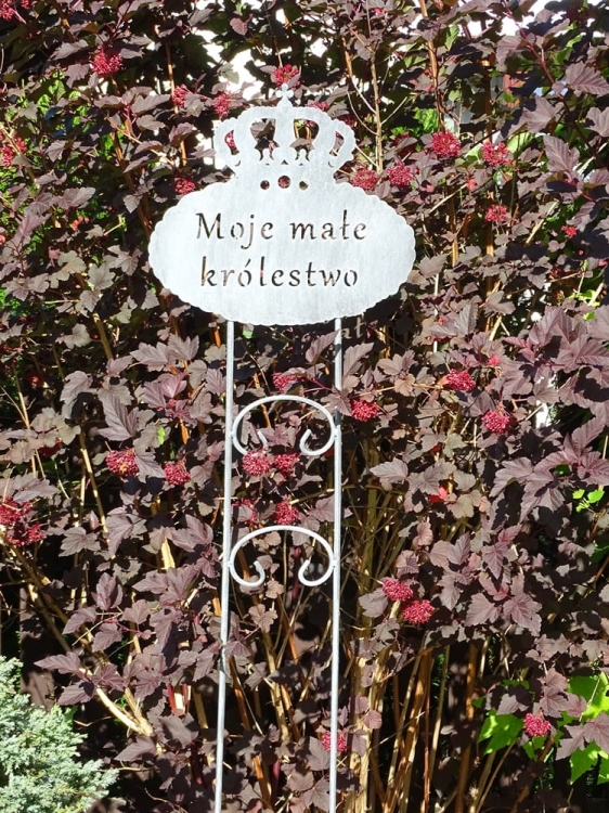Metalowa podpora do roślin Moje małe królestwo w kolorze antracytowym - niesamowita biżuteria ogrodowa