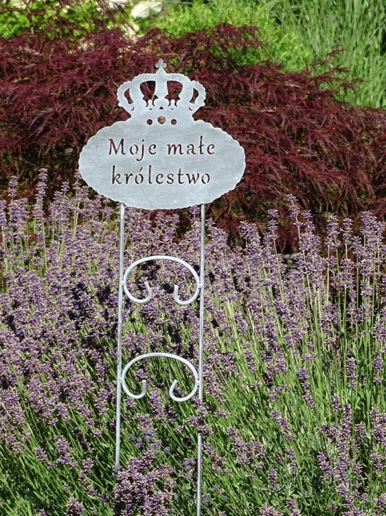 Metalowa podpora do roślin Moje małe królestwo w kolorze antracytowym - niesamowita biżuteria ogrodowa