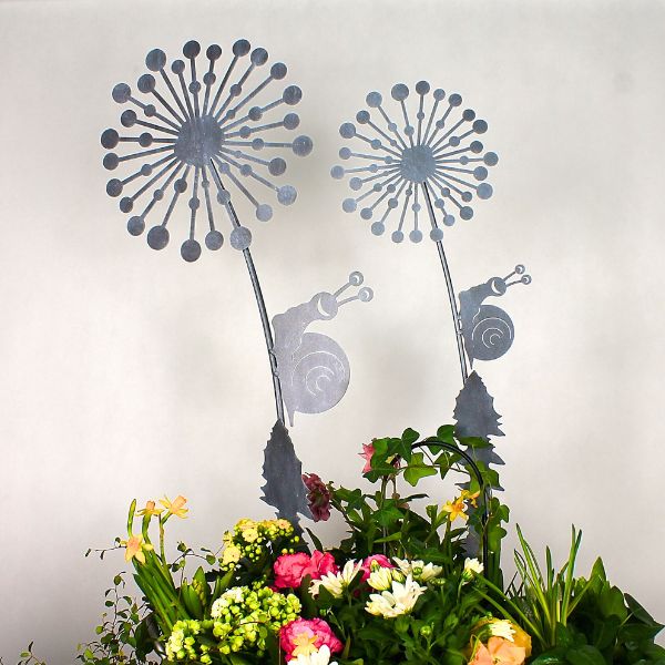 Dmuchawiec slimak kwiat ozdoba do ogrodu 